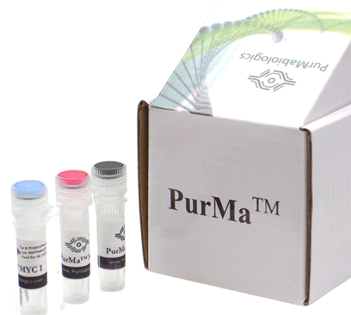 Mycoplasma Treatment Kit (MTK) (100X)