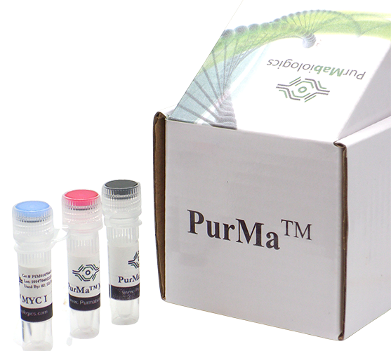 PurMa Mycoplasma Treatment Kit MTK 100X with MYC I, MYC II and MYC III reagent vials and PurMa branded box