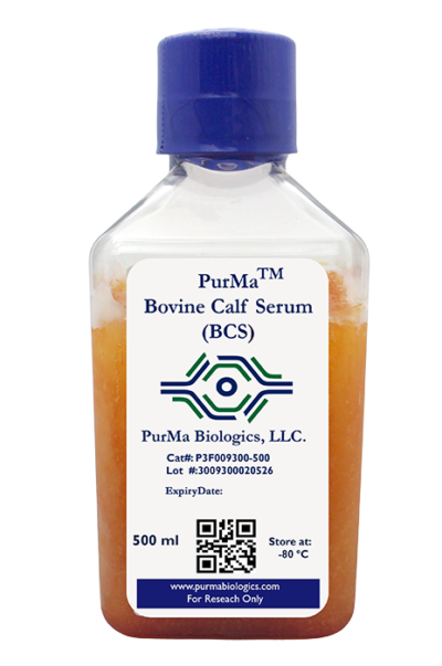 Bovine Calf Serum(BCS)