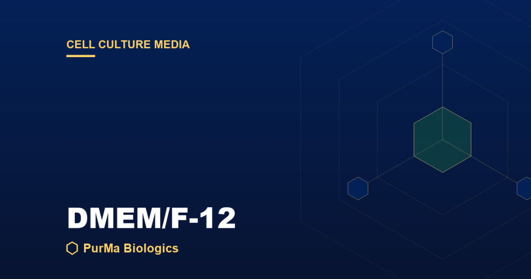Read more about the article What Is DMEM/F-12? The DMEM and Ham’s F-12 Blend Explained