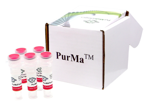 PurMaFectin™ 293T System