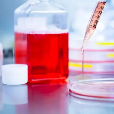 Cell & Tissue Culture Suited