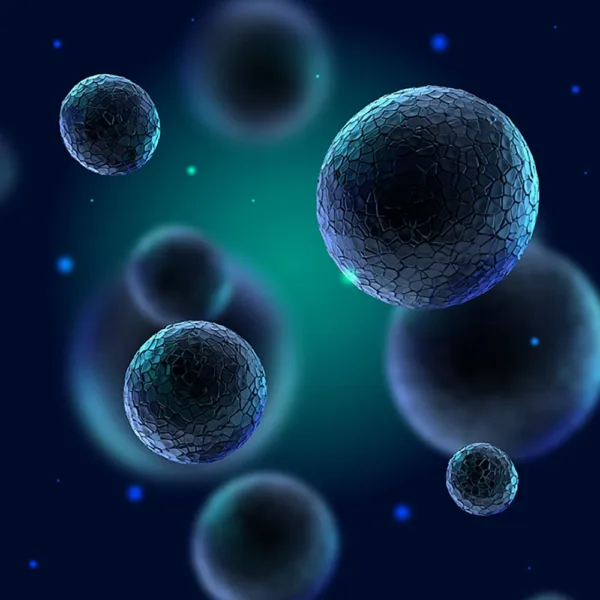 Cell culture Mycoplasma
