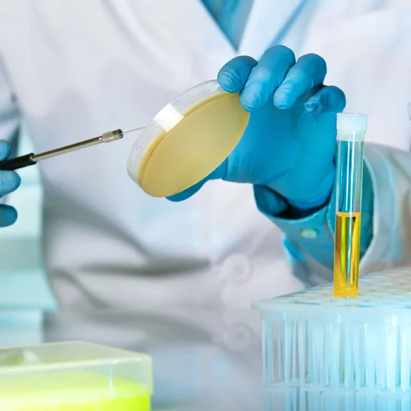 Cell culture mycoplasma growth