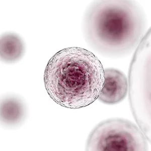 Purma Biologics