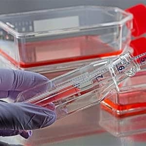 tissue culture services
