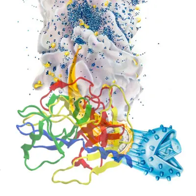 Cell Culture Suited Antibiotics Mixes