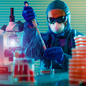 Organotypic Retinal Culture (300,300)