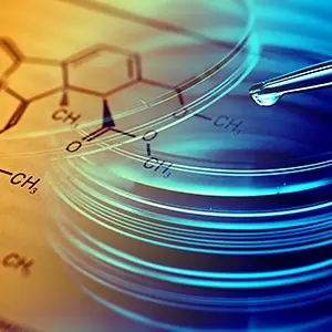 Transfection Reagents