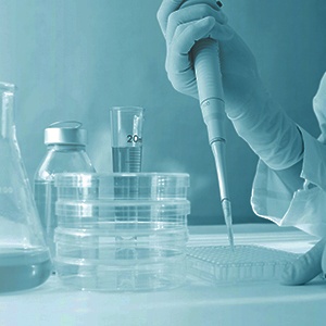 Agarose (Low Molecular Weight)