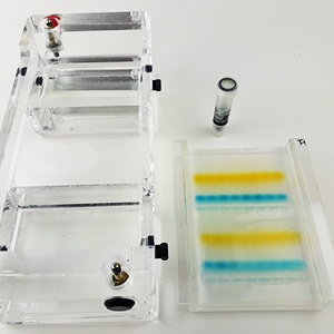 DNA Loading Dye