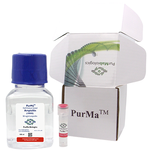 PurMa Cell Culture Suited Ampicillin 1000X, 50 mg per mL, one of the prokaryotic cell culture antibiotics available