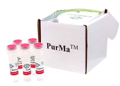 PurMaFectin™ Transfection Reagent
