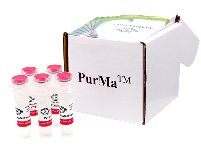 PurMaFectin Transfection Reagent kit with reagent vials and PurMa branded box