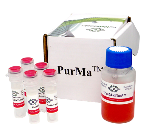 PurMaFectin™ Ultra Transfection Reagent
