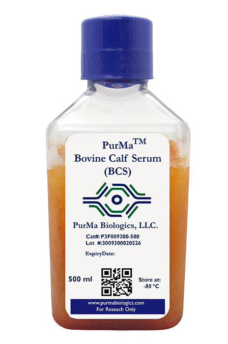 Bovine Calf Serum (BCS)
