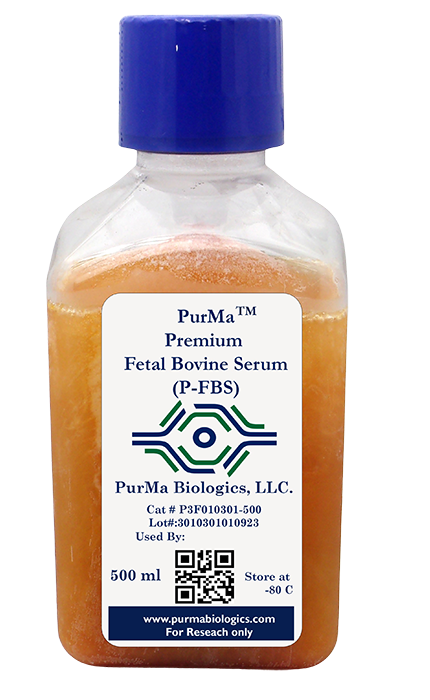 Premium Fetal Bovine Serum (P-FBS)