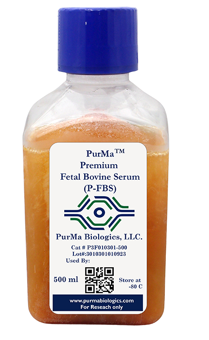 Premium Fetal Bovine Serum (P-FBS)