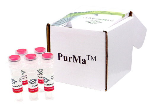 PurMaFectin™ Ultra Transfection Reagent