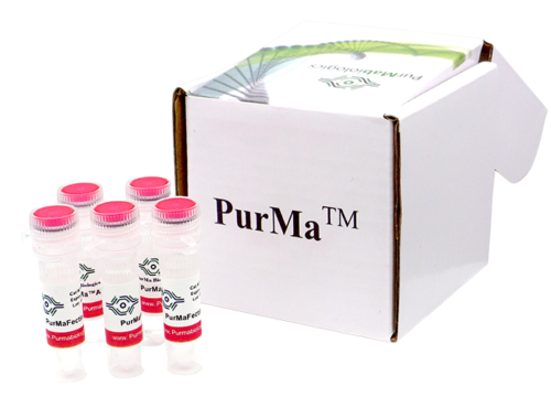 PurMaFectin™ Ultra Transfection Reagent