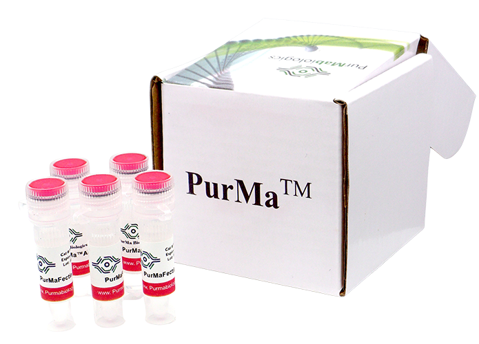 PurMaFectin™ Ultra Transfection Reagent