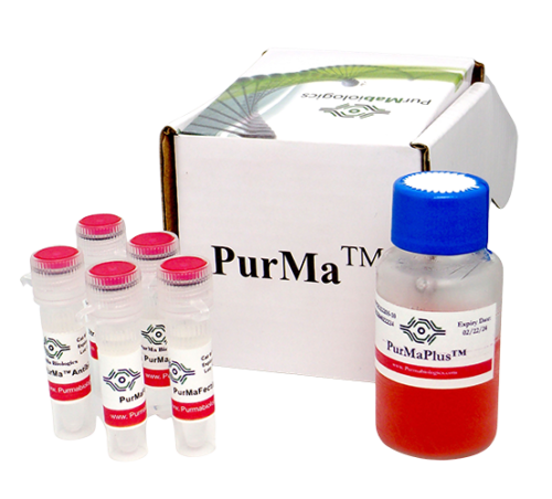 PurMaFectin™ Transfection Reagent