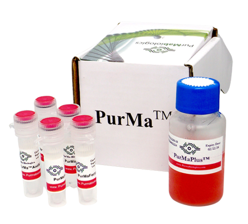 PurMaFectin™ Transfection Reagent