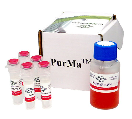 PurMaFectin™ Transfection Reagent