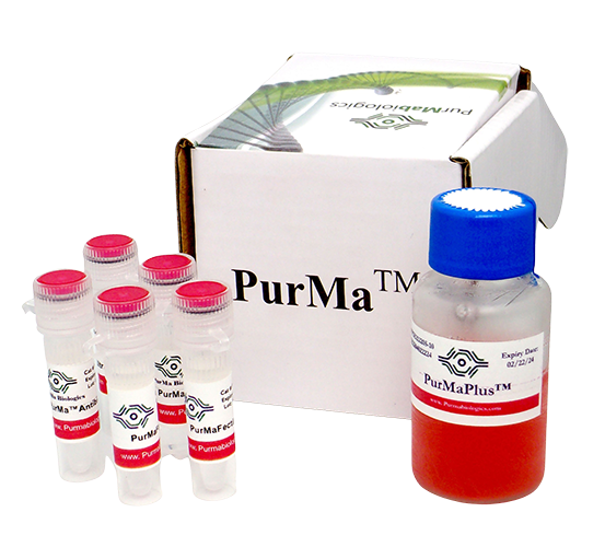 PurMaFectin™ Transfection Reagent