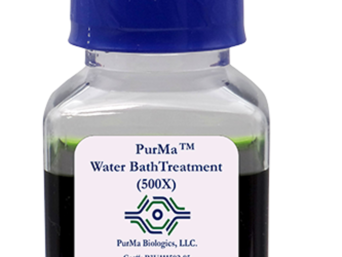 how to reconstitute cagrilintide Cagrilintide 10mg  Buy Online from XL Peptides UK