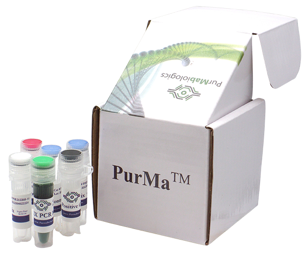 Mycoplasma PCR Detection Kit