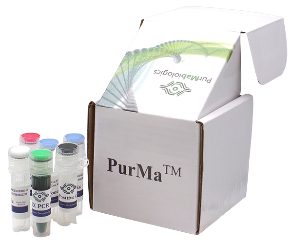 Mycoplasma PCR Detection Kit