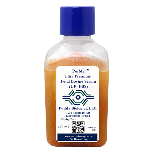 PurMa™ Ultra-Premium Fetal Bovine Serum (UP-FBS)