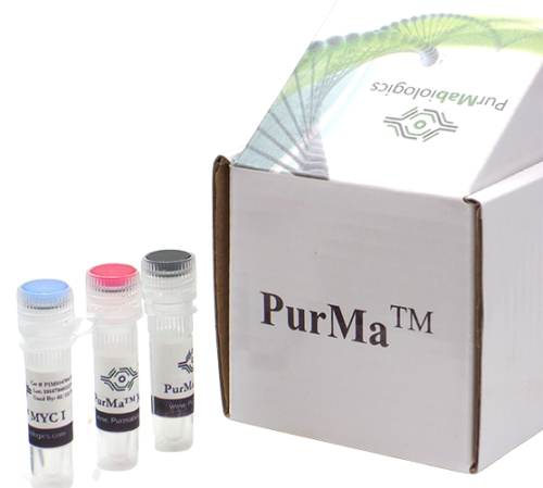 Mycoplasma Treatment Kit (MTK) (100X)