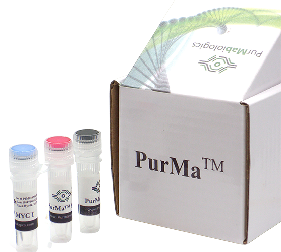 Mycoplasma Treatment Reagent (MTR) (100X)