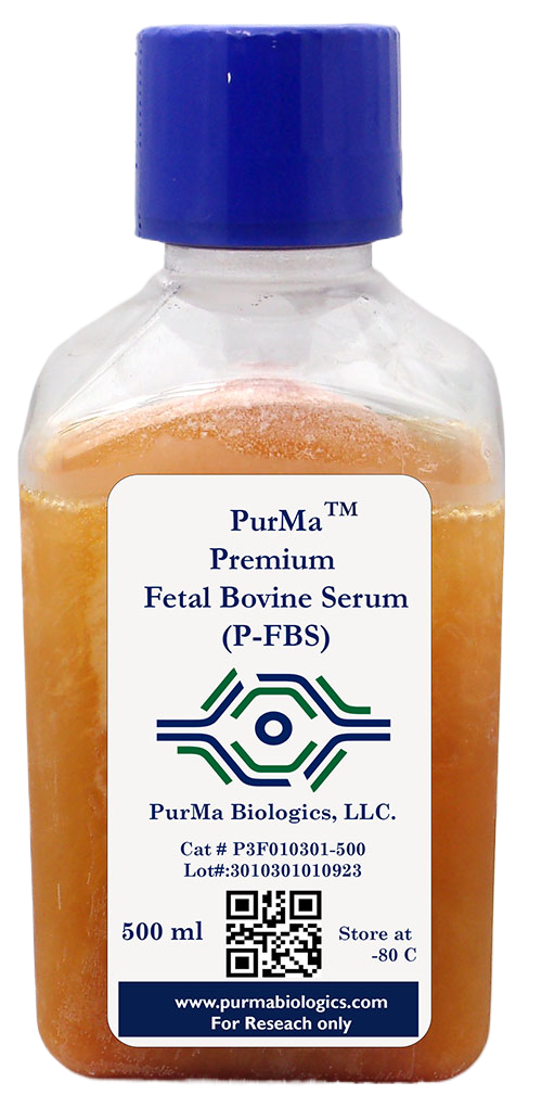 PurMa ™Premium Fetal Bovine Serum (P-FBS)