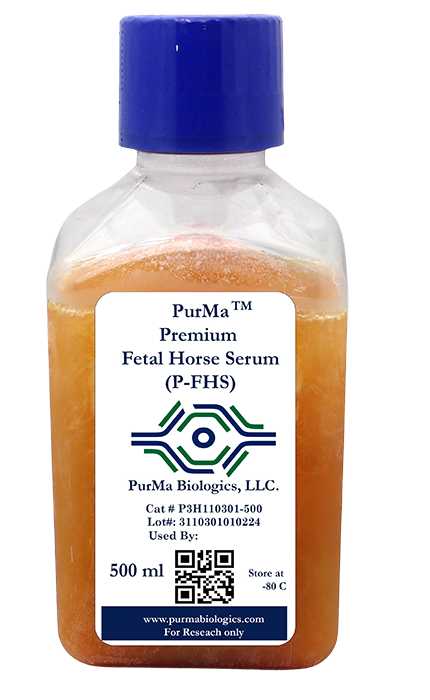Premium Fetal Horse Serum (P-FHS)