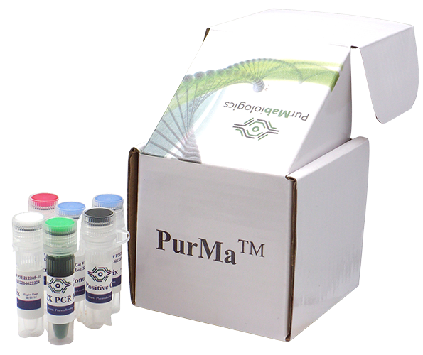 PurMa Mycoplasma PCR Detection Kit box with PCR master mix and control reagent tubes