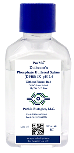 Dulbecco’s Phosphate Buffered Saline (DPBS)