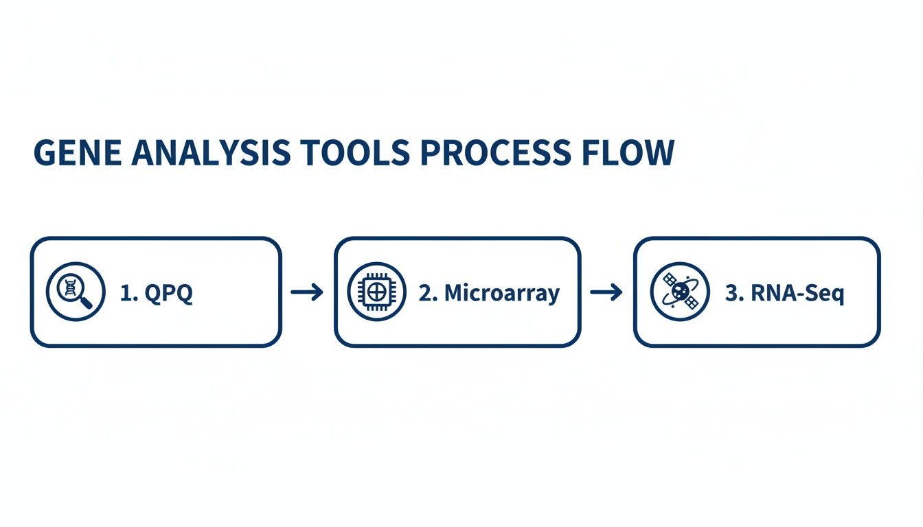 Flowchart illustrating the gene analysis tools process flow: QPQ, Microarray, and RNA-Seq in sequence.