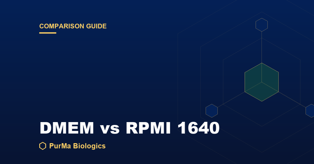 Read more about the article DMEM vs RPMI 1640: Key Differences and When to Use Each