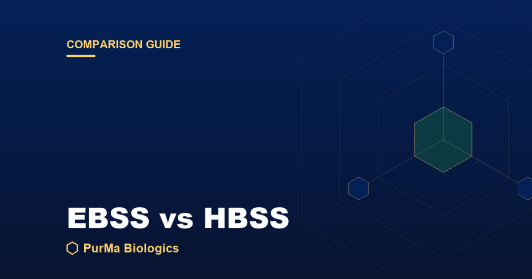 Read more about the article EBSS vs HBSS: Key Differences and When to Use Each
