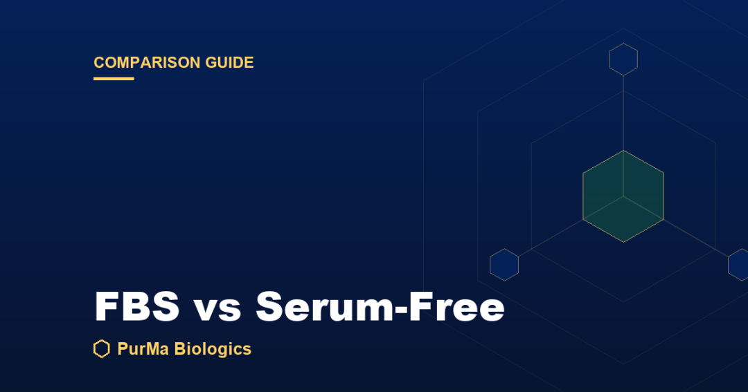 Read more about the article FBS vs Serum-Free Media: Key Differences and When to Use Each