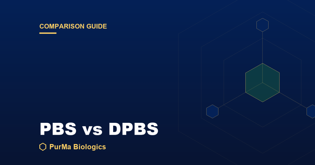Read more about the article PBS vs DPBS: What’s the Difference?