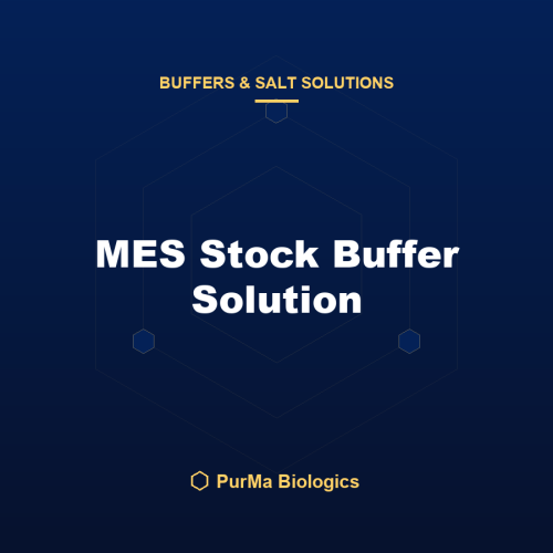 MES Stock Buffer Solution