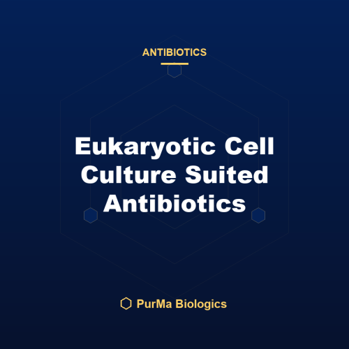 Eukaryotic Cell Culture Suited Antibiotics