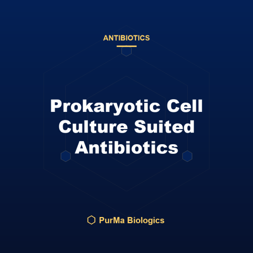 Prokaryotic Cell Culture Suited Antibiotics