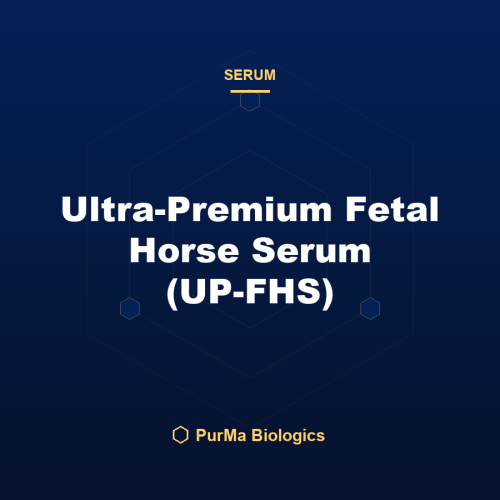 Ultra-Premium Fetal Horse Serum (UP-FHS)