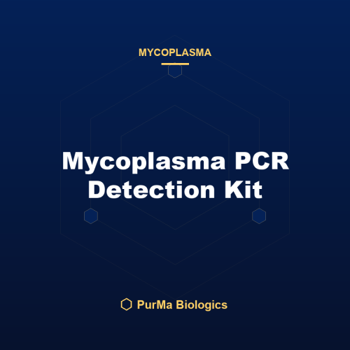Mycoplasma PCR Detection Kit