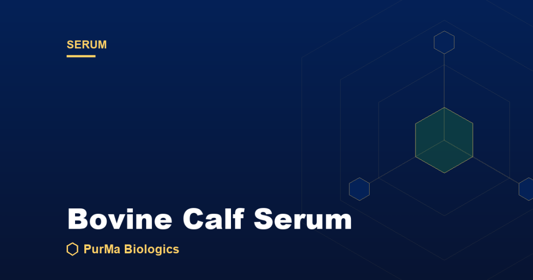 Read more about the article What Is Bovine Calf Serum? Uses, Composition, and Cost